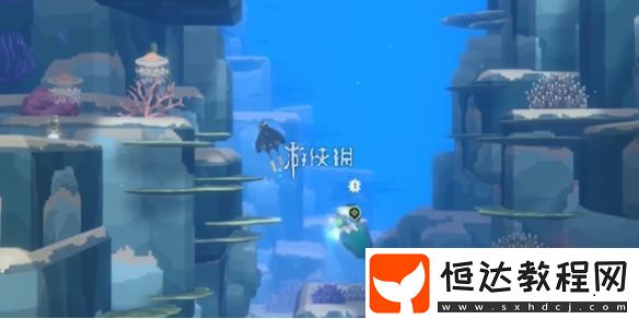 潛水員戴夫鸚嘴魚捕獲攻略