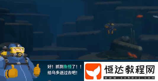 潛水員戴夫魔法水母捕獲攻略